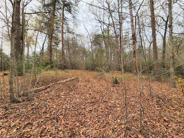 Westfield, NC 27053,xx 31 acres Frans RD