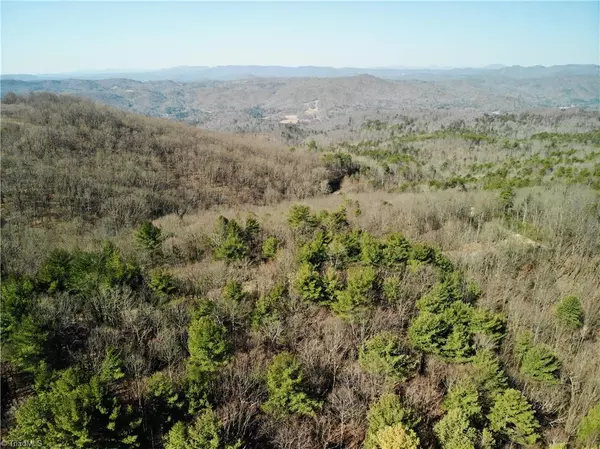 Lot 43 Tapaderos DR, Mcgrady, NC 28649