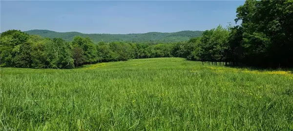 2240 Tucker RD, Hamptonville, NC 27020