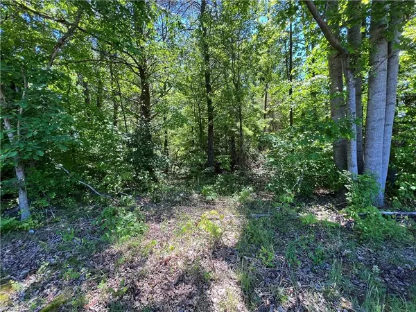 Belews Creek, NC 27009,.49 AC Blue Hill DR