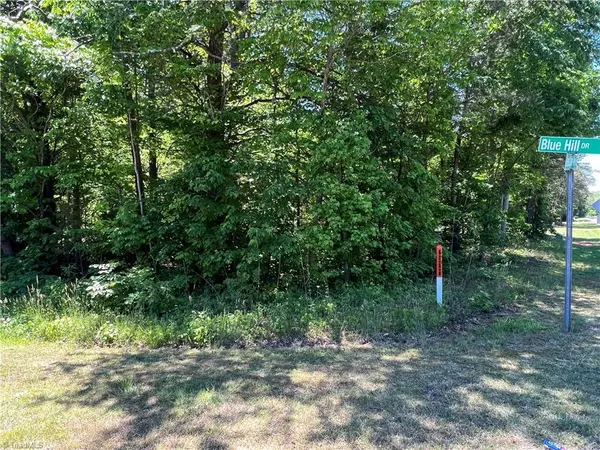 Belews Creek, NC 27009,.49 AC Blue Hill DR