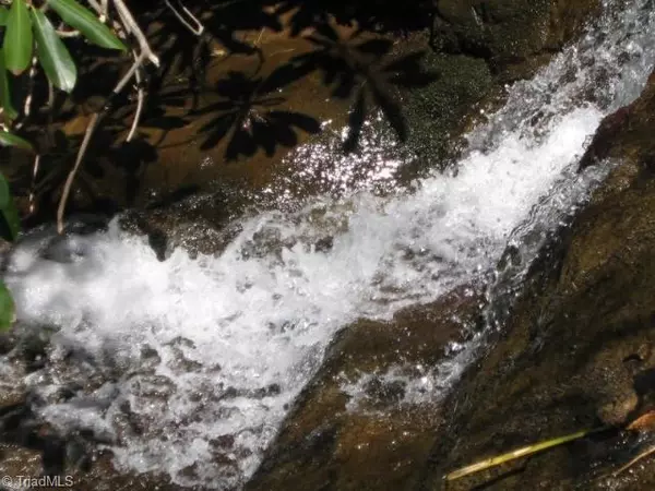 Jefferson, NC 28640,TBD Poplar DR