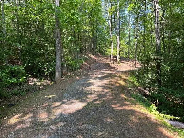 Wilkesboro, NC 28697,tbd trapp creek RD