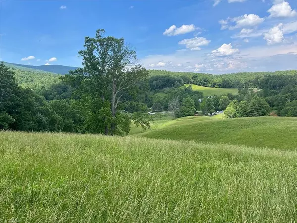 Deep Gap, NC 28616,tbd Hayes Welborn RD