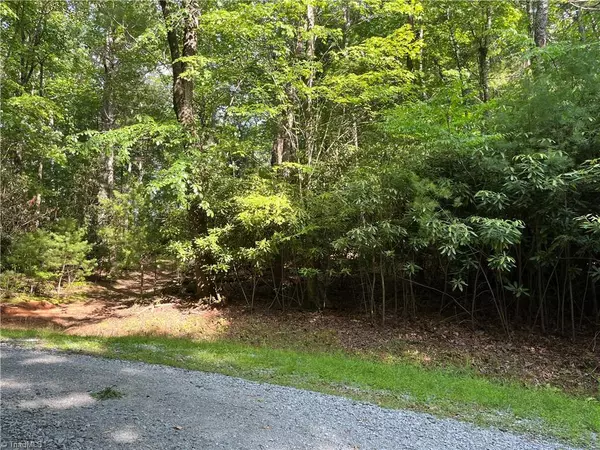 Deep Gap, NC 28618,lot 7 Mount Paron RD