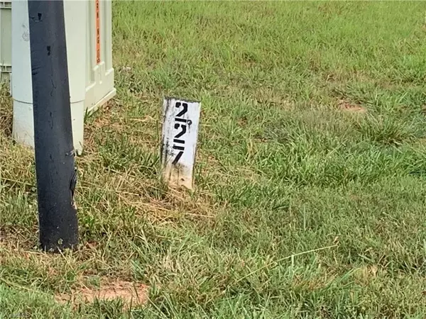 North Wilkesboro, NC 28659,Lot 227 Canterbury DR