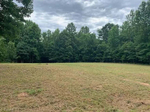 Ramseur, NC 27316,811 Patterson Grove RD