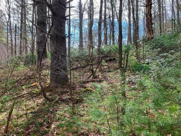 West Jefferson, NC 28694,TBD Brightwater TRL