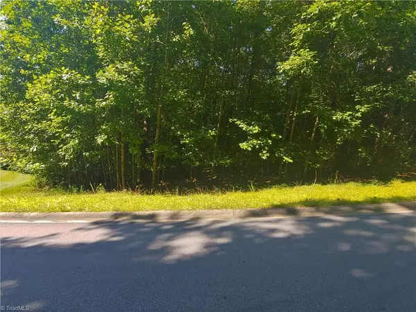 Wilkesboro, NC 28697,TBD Skyland DR