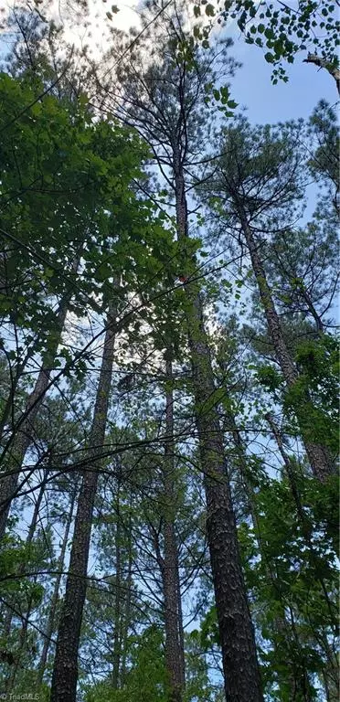 Rural Hall, NC 27045,7820 McGee RD