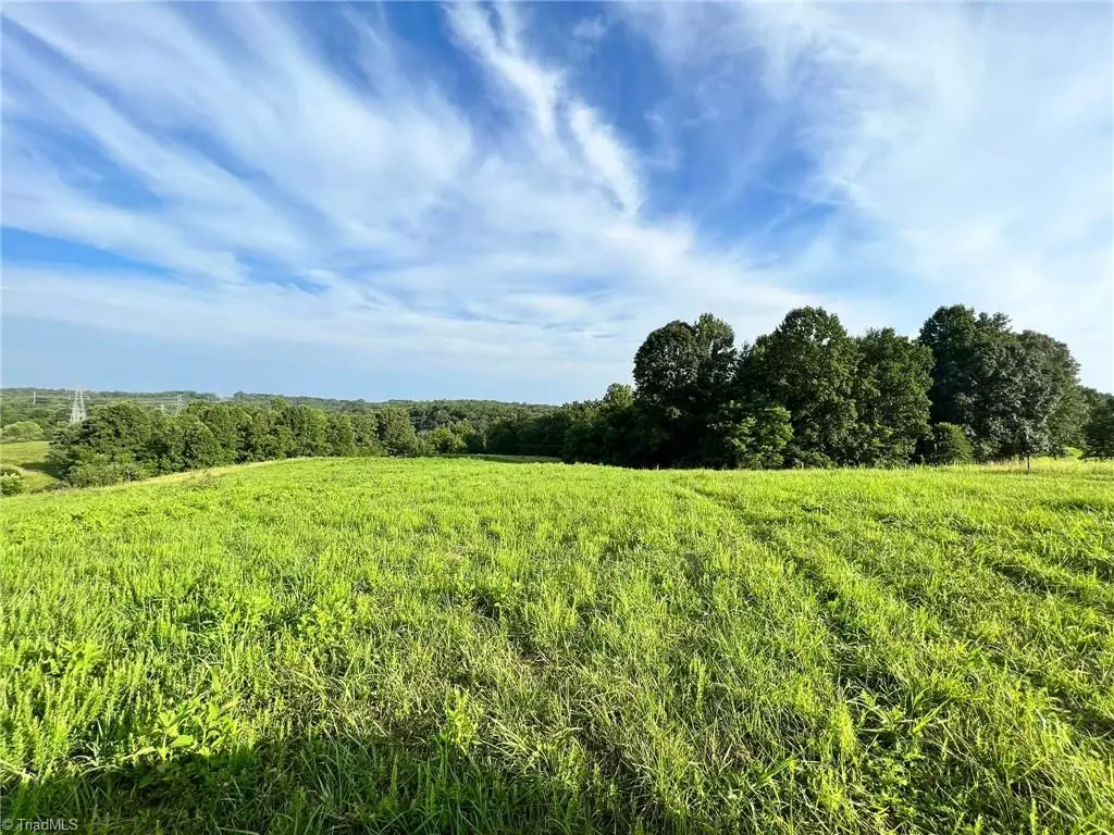 Pinnacle, NC 27043,14.92 Acres Covington Ridge LN