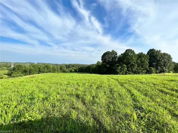 14.92 Acres Covington Ridge LN, Pinnacle, NC 27043