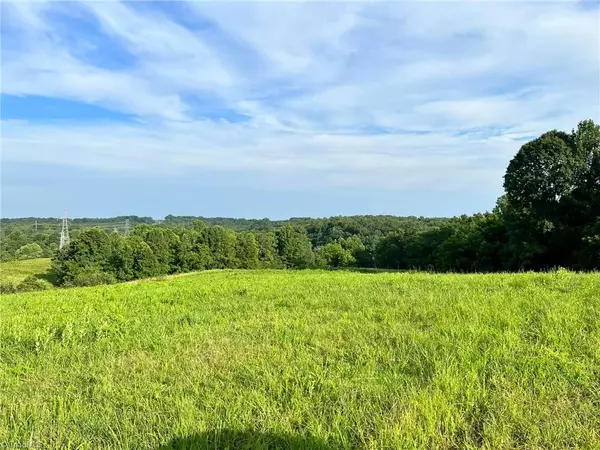 Pinnacle, NC 27043,14.92 Acres Covington Ridge LN