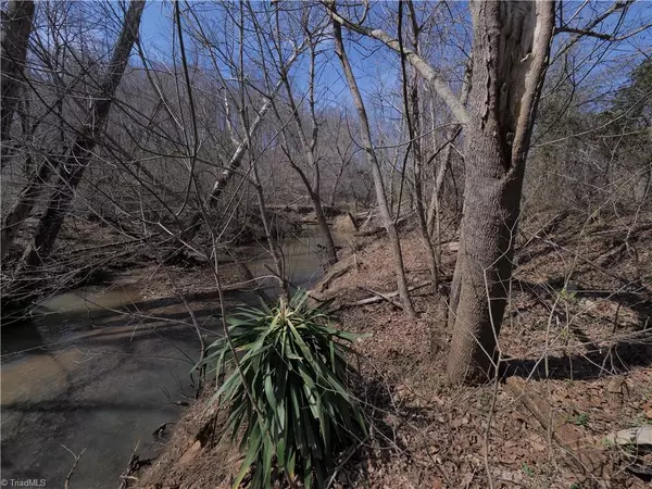 Rural Hall, NC 27045,+/-7 Acres Shore RD