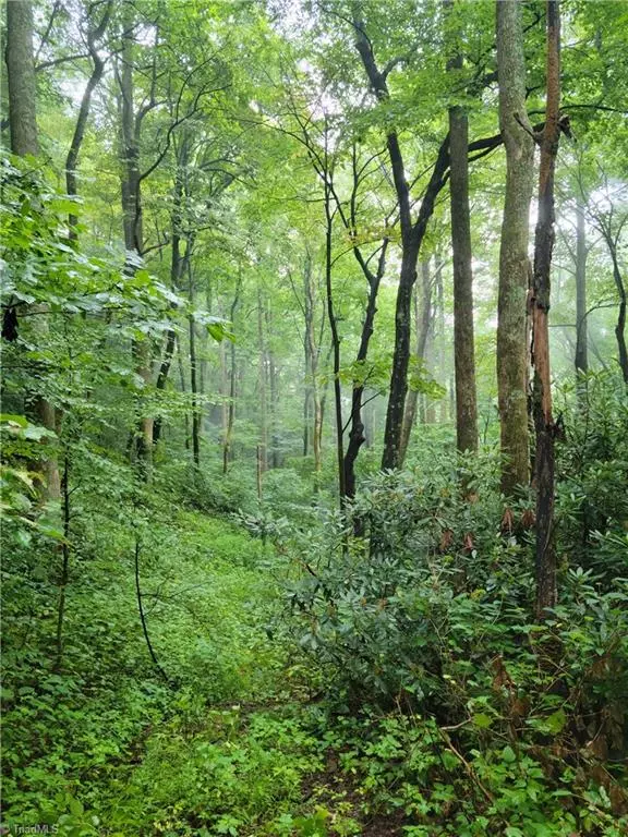 Fancy Gap, VA 24328,TBD Willis Gap Mountain RD