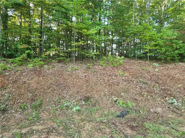 Walnut Cove, NC 27052,Lot 19 Jarrett DR