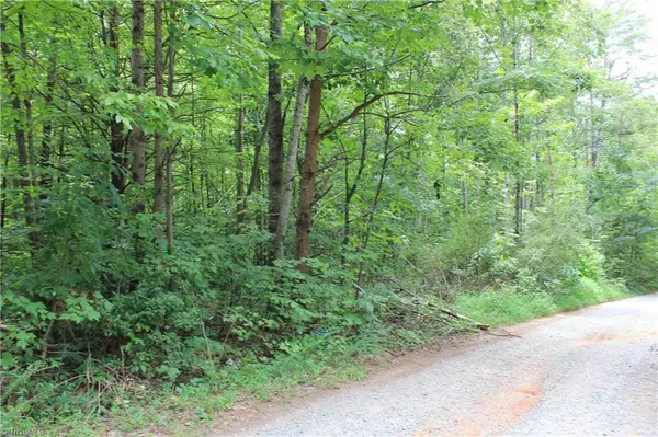 Germanton, NC 27109,0 Saura Woods LN