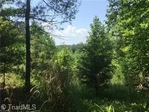 Lot11 Brown Berry RD, North Wilkesboro, NC 28659