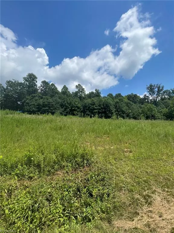 North Wilkesboro, NC 28659,00 Windy Gap RD