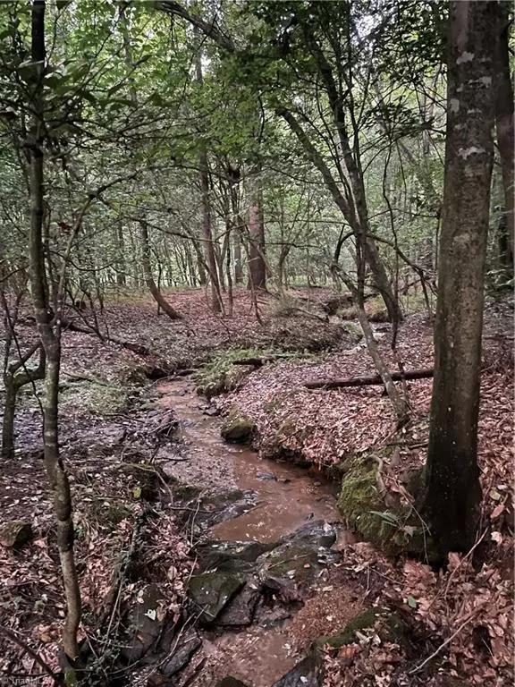 Millers Creek, NC 28651,TBD1 Millard LN