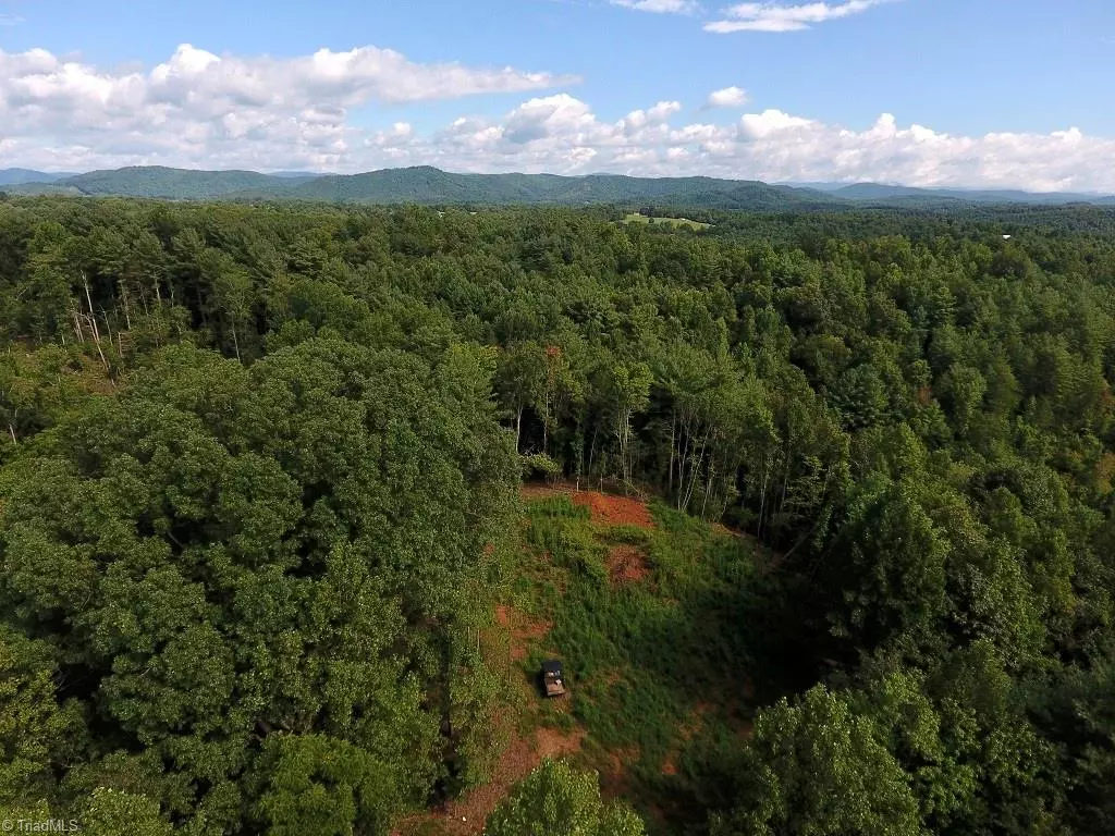 Millers Creek, NC 28651,TBD1 Millard LN