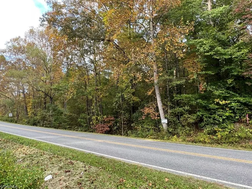 Mount Airy, NC 27030,00 Pipers Gap RD #Lot 17 plus 4 acres