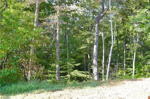 King, NC 27021,Lot 34 Scenic Ridge PL