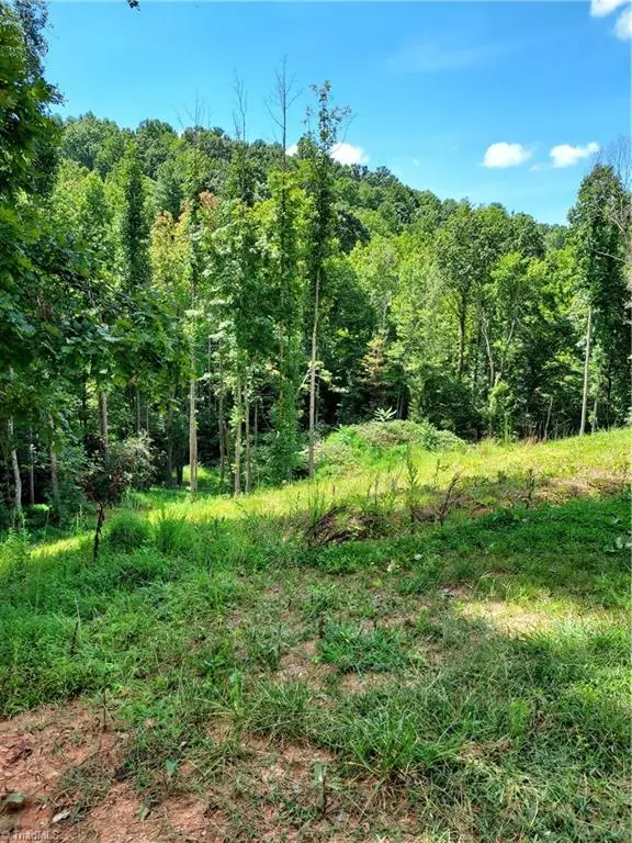 Wilkesboro, NC 28697,TBD Lot #21 Hollowview DR