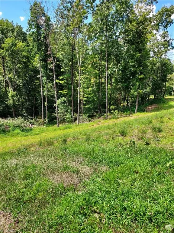 Wilkesboro, NC 28697,TBD Lot #21 Hollowview DR