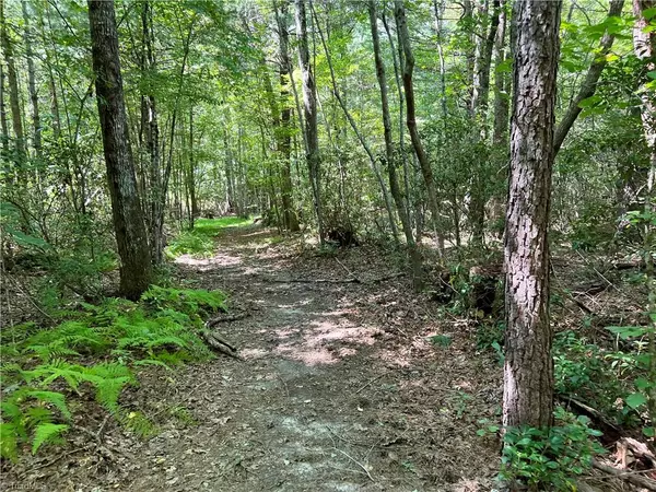 Westfield, NC 27053,00 Flippin RD #4 Ac