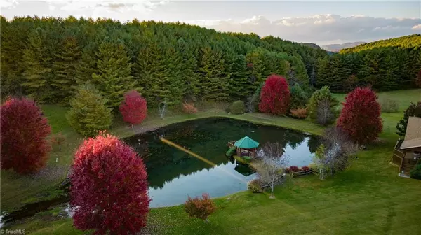 Sparta, NC 28675,143 Solitude LN