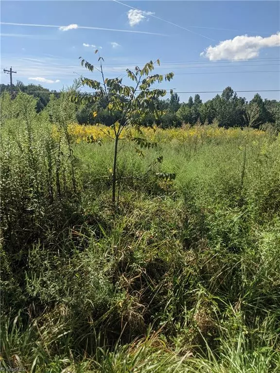 Pilot Mountain, NC 27041,65 ACRES MITCHELL ROAD Mitchell RD