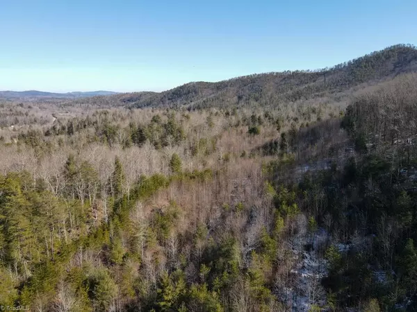 Morganton, NC 28655,6371 Rich Mountain RD