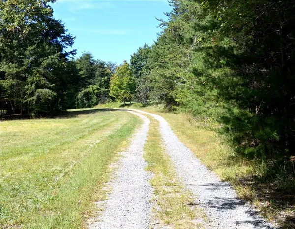 Germanton, NC 27019,00 S Friendship RD #North Tract