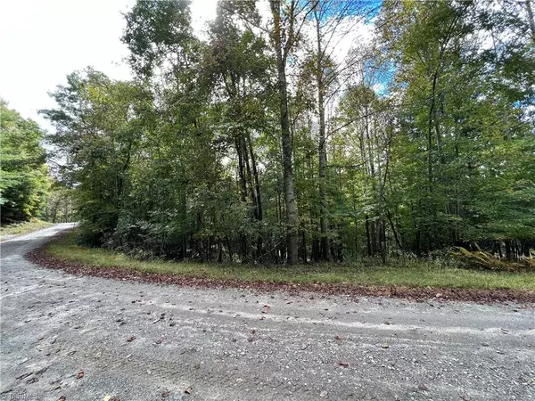 Piney Creek, NC 28663,TBD Bertie CIR