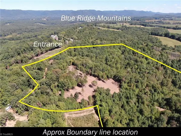 Claudville, VA 24076,00 Pedigo Ridge RD #41.61 Acres