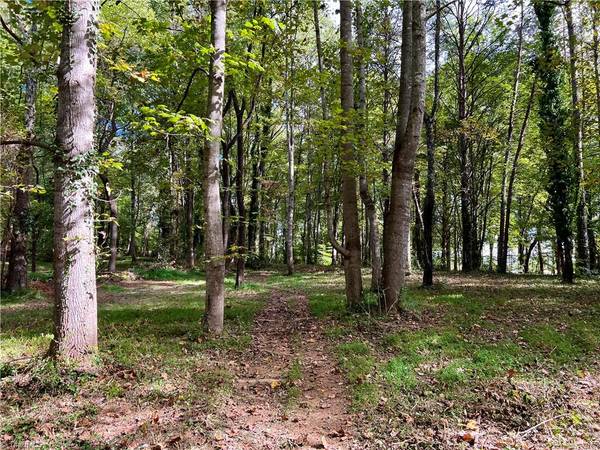 00 Jackson RD #8.64 Ac, Mount Airy, NC 27030