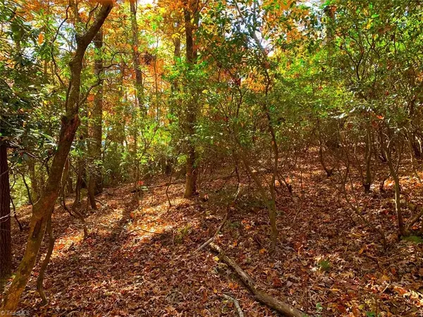 Hays, NC 28649,00 Fawn LN