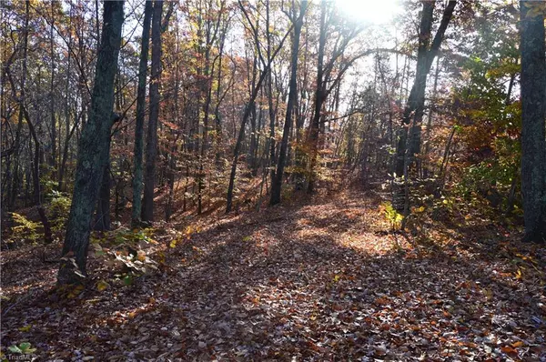 Stoneville, NC 27048,00 Wray RD