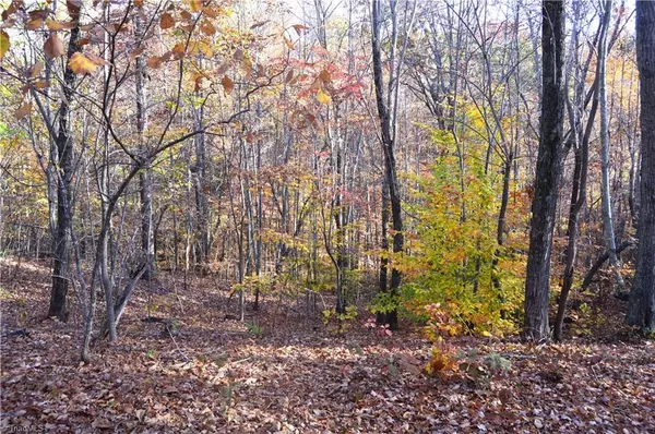 Stoneville, NC 27048,00 Wray RD