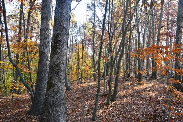 Stoneville, NC 27048,00 Wray RD