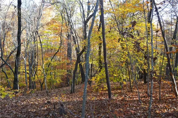 Stoneville, NC 27048,00 Wray RD