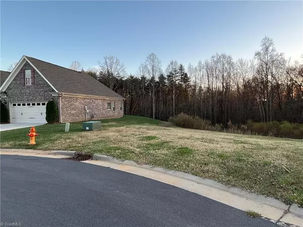 Pfafftown, NC 27040,4623 Olivine LN