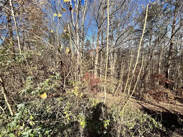 Lot 25 & 24 2.85 AC Roy Tuttle RD, Pinnacle, NC 27043