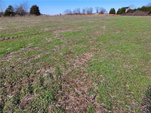 Yadkinville, NC 27055,Lot 3 Simplicity DR