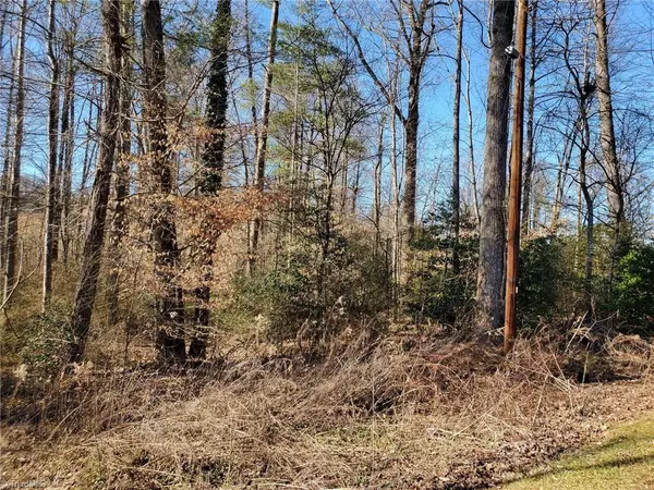 Wilkesboro, NC 28697,Lots 15 and 16 Sedgefield CIR