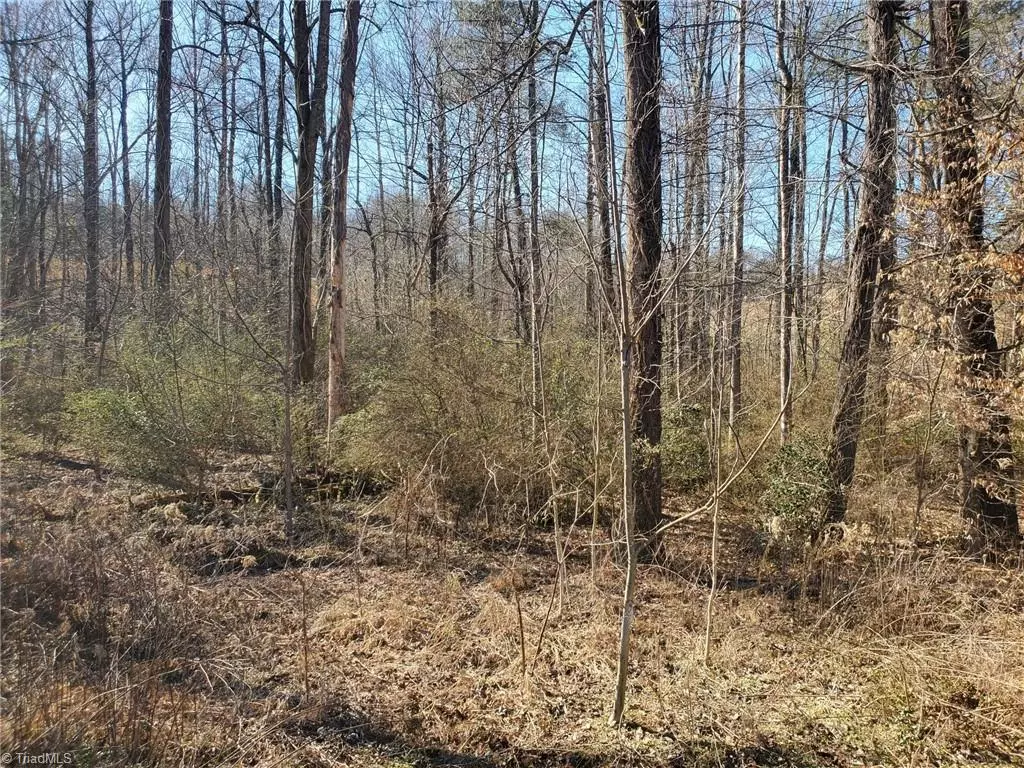 Wilkesboro, NC 28697,Lots 15 and 16 Sedgefield CIR