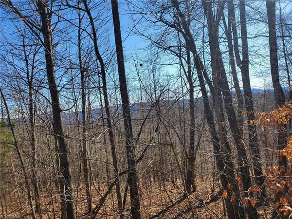 Lot 6 Sweetwater RD, Boomer, NC 28654