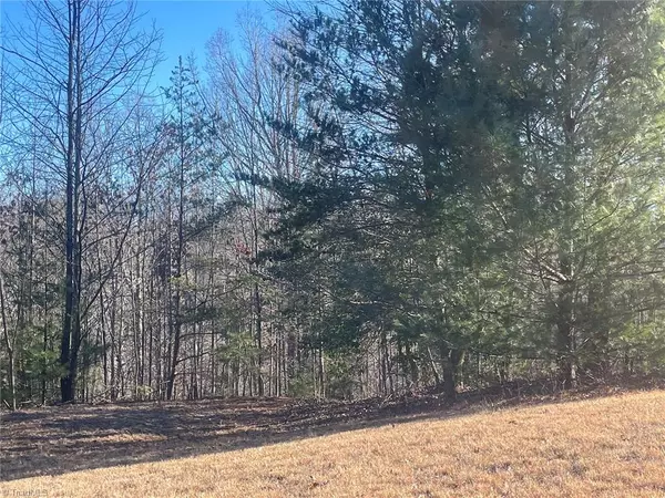 Boomer, NC 28606,Lot 64 Sweetwater RD