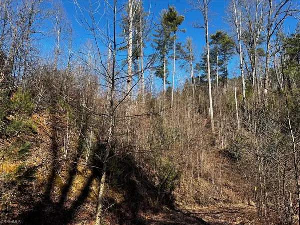 Wilkesboro, NC 28697,TBD Hamby Mountain RD